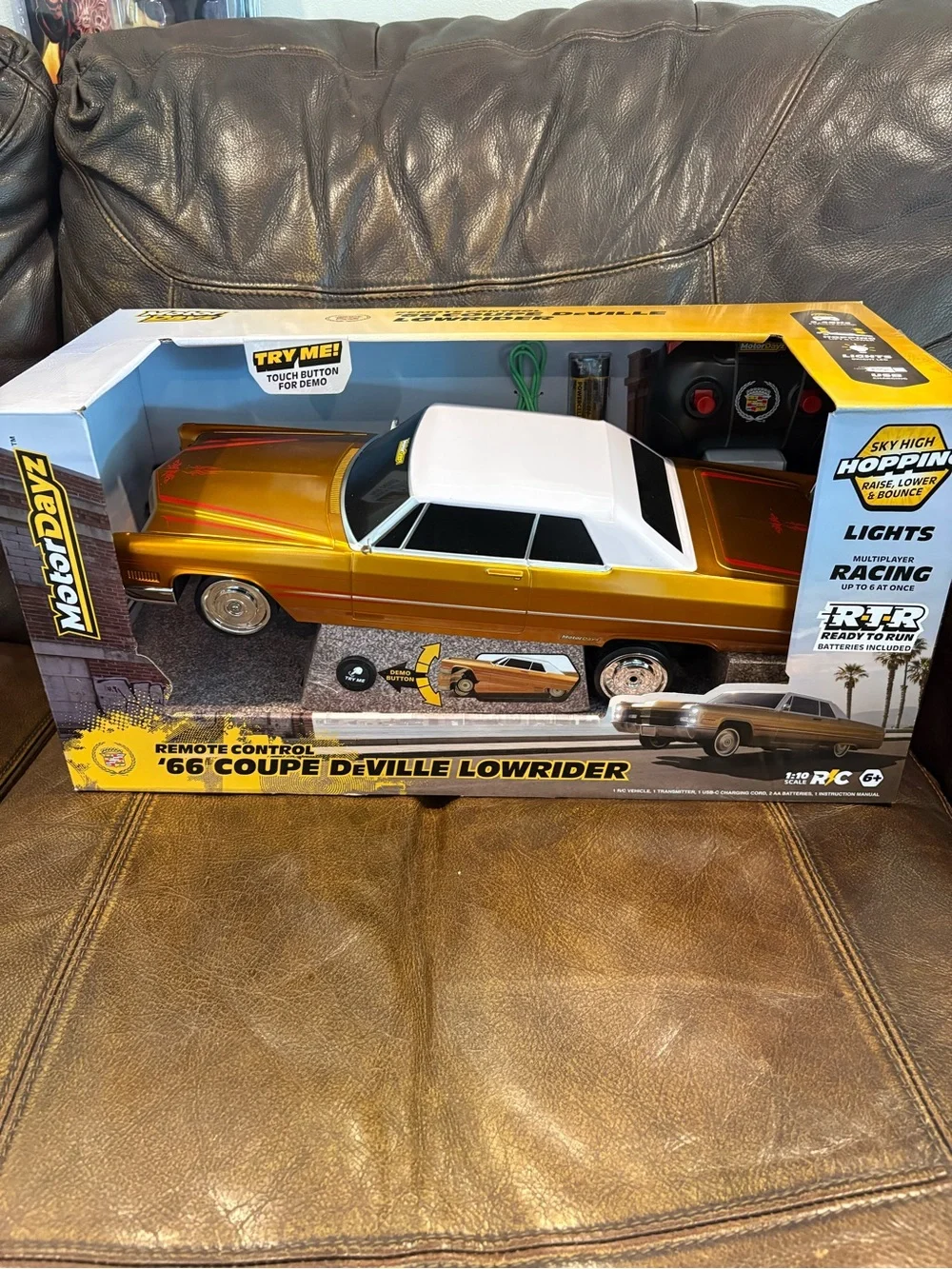 Motordayz brand new